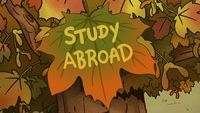 Study Abroad