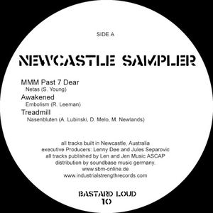 Newcastle Sampler (Single)