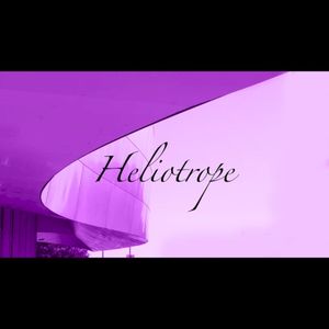 Heliotrope