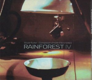 Rainforest IV