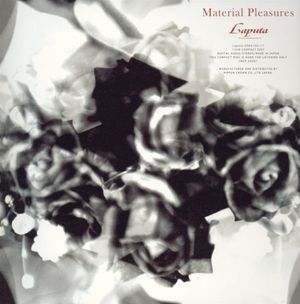 Material Pleasures