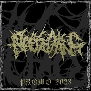 Promo 2023 (Single)