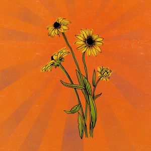 Flowerfields (Single)