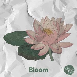 Bloom