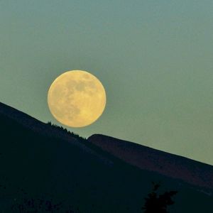 Moonrise (Single)