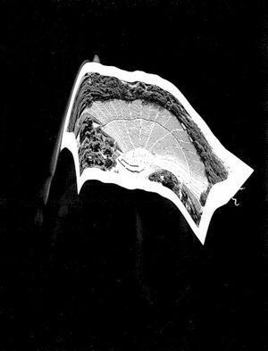 Selective Hearing / 3 Teeth For 1 (Single)