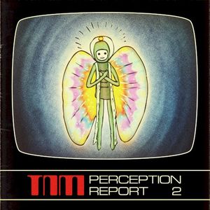 Perception Report 2 (EP)