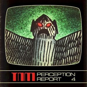 Perception Report 4 (EP)