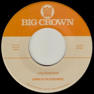 I Can Remember b/w Sitting In The Park (Single)