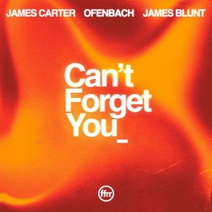 Can’t Forget You (Single)