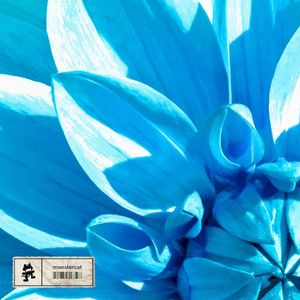 Let It Bloom (Single)