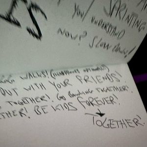 there are literally no rules whatsoever (Single)