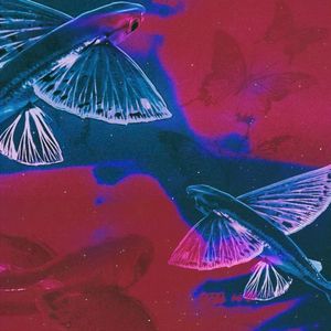 Drifft (Single)