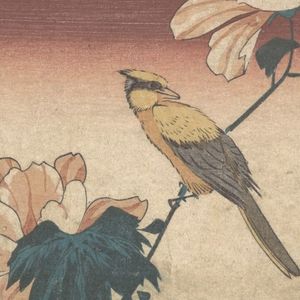 The 2017–2019 Collection, Vol. 4