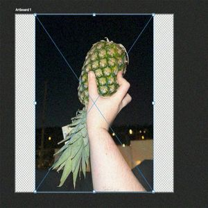 PINEAPPLE UPSIDE DOWN (Single)