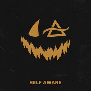Self Aware (Single)