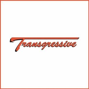 Transgressive Records 10th Anniversary Compilation