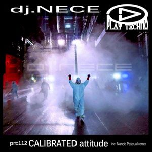 Calibrated Attitude (Single)