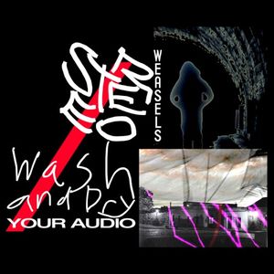 Stereo Weasels / Wash and Dry Your Audio