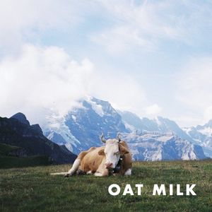 Oat Milk (Single)