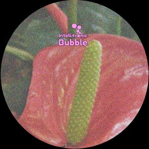 Anthurium 002 (EP)