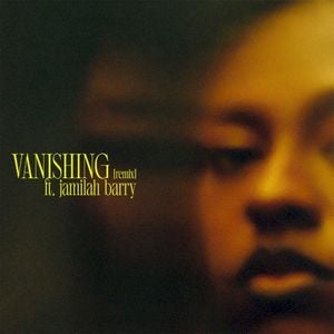 vanishing . (remix) (Single)