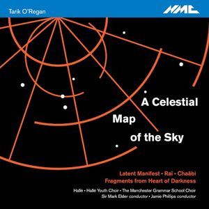 A Celestial Map of the Sky