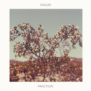 Fraction (Single)