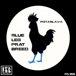 Blue Leg Prat Breed (Single)