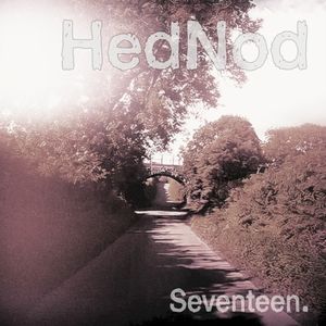 HedNod Seventeen