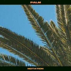 Palm