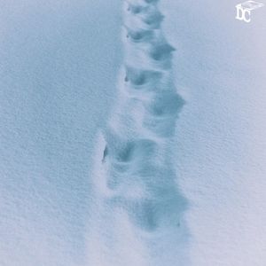Snowy Walk (Single)