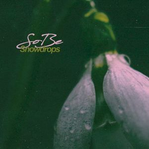 Snowdrops (Single)