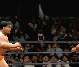 image-https://media.senscritique.com/media/000021511972/0/all_japan_pro_wrestling_wrestling_featuring_virtua.jpg