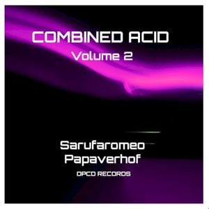 CombiNed Acid, Volume 2 (EP)