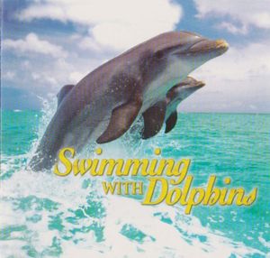 Swimming With Dolphins