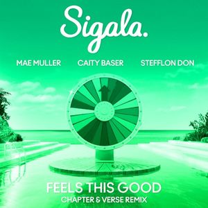 Feels This Good (Chapter & Verse remix) (Single)
