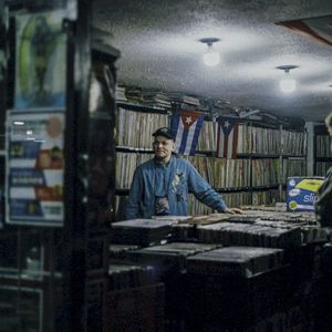 Diskohengst (Single)