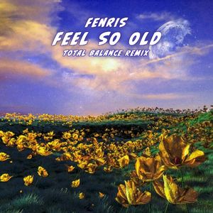 Feel So Old (Total Balance remix)