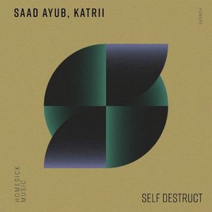 Self Destruct (Single)