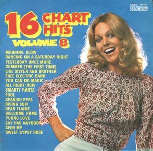 16 Chart Hits, Volume 8