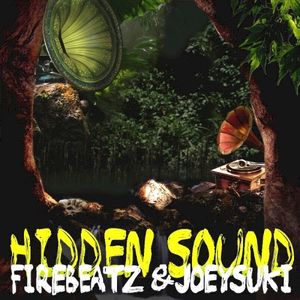 Hidden Sound