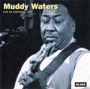Instrumental With Spoken Intro by Muddy Waters