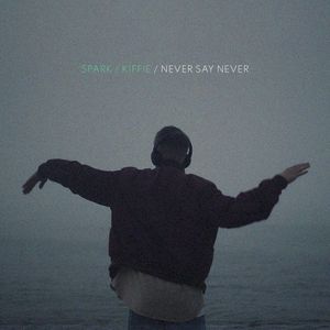 Never Say Never (Single)