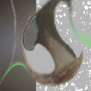 Organic Oscillations (EP)