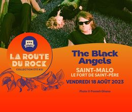 image-https://media.senscritique.com/media/000021527404/0/the_black_angels_la_route_du_rock_2023.jpg