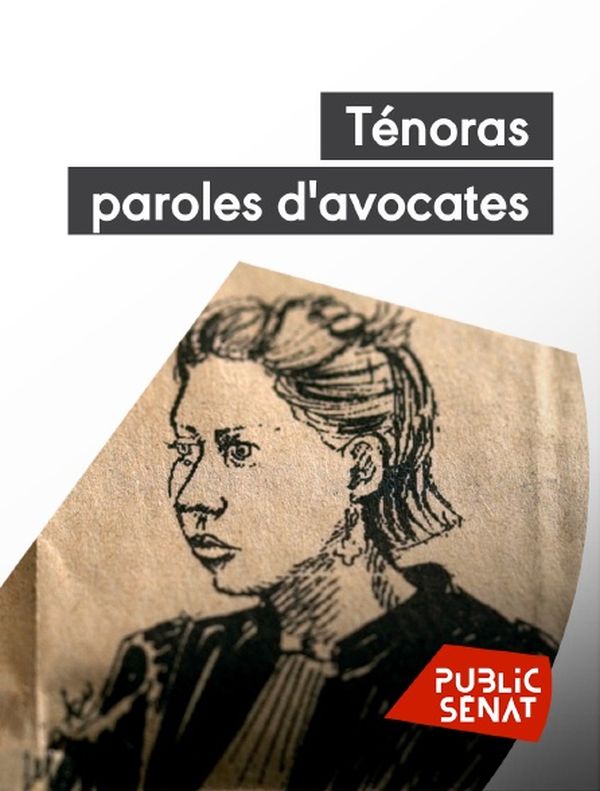 Ténoras, paroles d'avocates