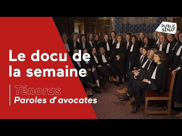 Ténoras, paroles d'avocates