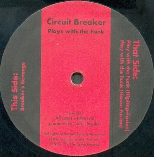 Play With The Funk (Single)