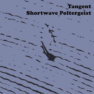 Shortwave Poltergeist